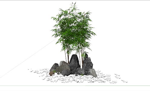 New Chinese Bamboo 3d model