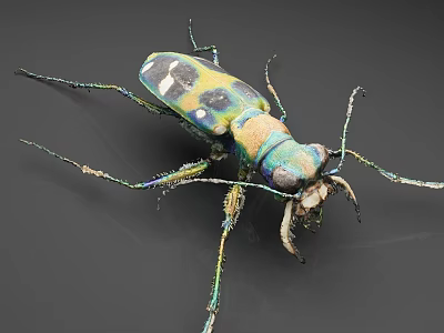 Colorful Tiger Beetle With Iridescent Green Blue Yellow Spots And Long Legs On Gray Surface 3d model