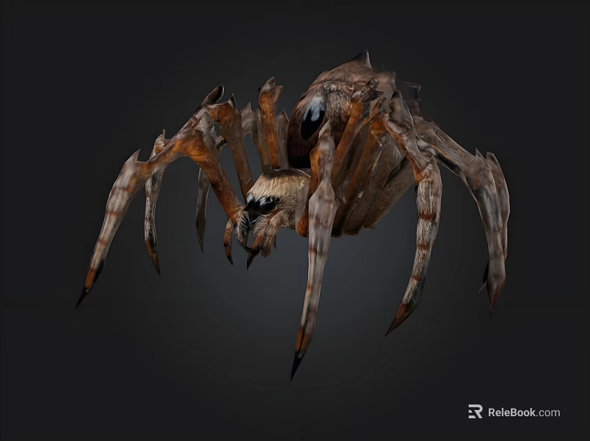 Realistic 3D Model of a Brown Spider with Detailed Legs and Body 3d model 