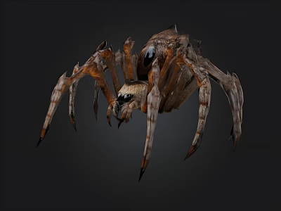 Realistic 3D Model of a Brown Spider with Detailed Legs and Body 3d model