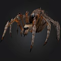 Realistic 3D Model of a Brown Spider with Detailed Legs and Body