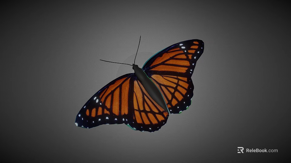 Orange And Black Butterfly With White Spots On Wings Against Gray Background 3d model 