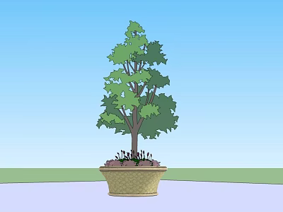 Woven Tree Planter With Green Tree And Small Plants Under Blue Sky 3d model