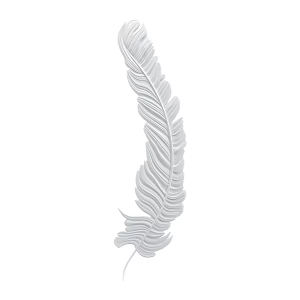 Pluma Modern Feather Wall Decorations 18w 3d model