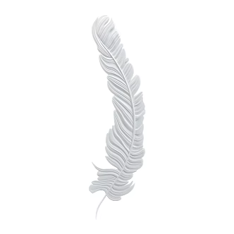 Pluma Modern Feather Wall Decorations 18w 3d model