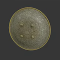 Ancient Historical Shield With Circular Design Intricate Patterns Metal Rivets And Golden Border