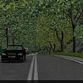 Charming Tree Lined Asphalt Road Scenery With Dappled Sunlight Beneath Lush Green Summer Tree Canopy