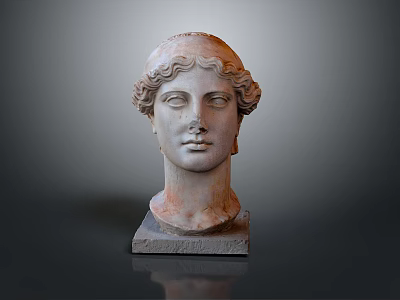 Medical Anatomical Human Head Sculpture Model With Curly Hair Calm Expression And Square Base 3d model