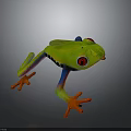 Green Frog with Red Eyes Orange Toes and Colorful Legs on Gray Background