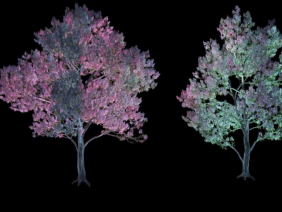 Two Arbor Trees With Pink Purple Green Blue Leaves On Dark Background 3d model