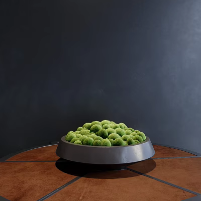 Bonsai Plant With Green Round Leaves In Dark Gray Pot On Wooden Tabletop 3d model