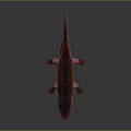 Detailed 3D Model of Red and Black Salamander Featuring Open Mouth and Lizard-like Body