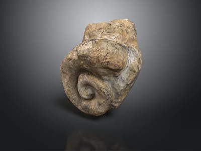Ancient Natural Spiral Fossil With Rough Stone Texture And Brown Beige Hues 3d model