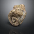 Ancient Natural Spiral Fossil With Rough Stone Texture And Brown Beige Hues