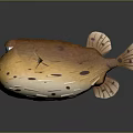 Orange Cartoon Puffer Fish With Big Eyes Spotted Fins And Funny Look