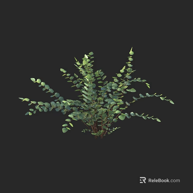 Lush Green Eucalyptus Plant With Oval Leaves And Decorative Branches 3d model 