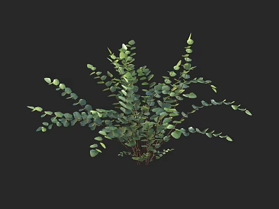 Lush Green Eucalyptus Plant With Oval Leaves And Decorative Branches 3d model