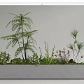 Diverse Bonsai Potted Plants In Rectangular Gray Concrete Planter With Various Greenery 3d model