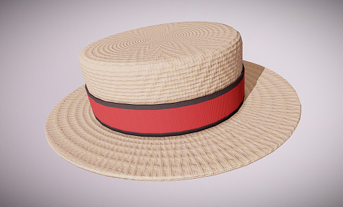 Modern Hat Flying Hat Rattan Hat 3d model