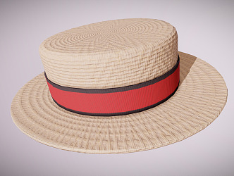 Modern Hat Flying Hat Rattan Hat 3d model