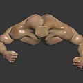 Medical Device Anatomical Torso Model Headless Muscular Structure with Flexed Arms Displaying Muscles Dark Background