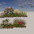 Diverse Plant Combination With Flowering Shrubs Ornamental Grasses And Colorful Perennials