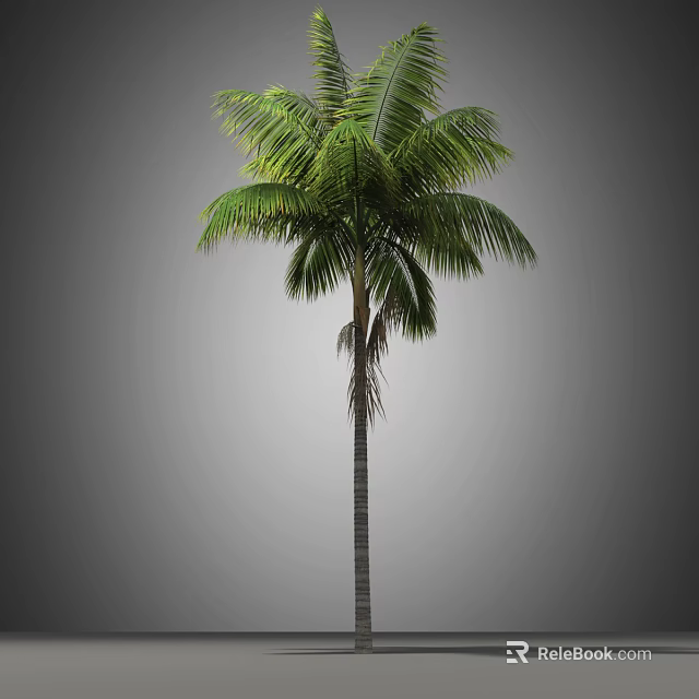 Tall Palm Tree With Lush Green Fronds And Straight Trunk Structure 3d model 