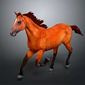 Vibrant Orange Horse Running With Flowing Mane On Gray Background