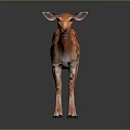 Realistic Orange Deer With White Spots Standing On Dark Reflective Surface 3d model