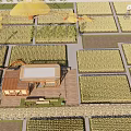 Scenic Rural Landscape With Vast Green Grassland Modern Wooden Pavilions Yellow Canopies And Blue Sky