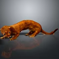 Brown Weasel Carrying Prey on Reflective Surface with Gray Background 3d model