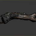 Natural Plant Wood Trunk with Dark Background and Rich Brown Textured Surface