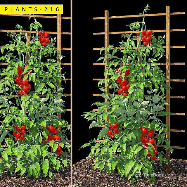 Ornamental Decoration Set Featuring Red Tomato Plants Green Leaves And Wooden Trellis Background 3d model 