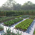 Rural Vegetable Garden Landscape With Farmers Working In Organized Green Vegetable Beds And Lush Trees