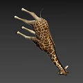Realistic Giraffe 3D Model With Brown White Spots And Long Neck Standing On Black Background