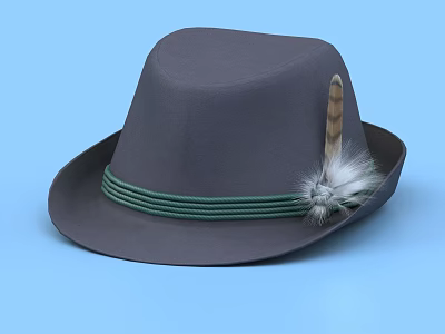 Hat Casual Hat Topper Tyrol Hat Felt Hat 3d model