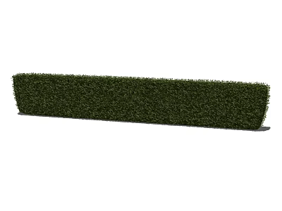 Well Trimmed Evergreen Hedge Shrub With Rectangular Shape And Green Foliage 3d model