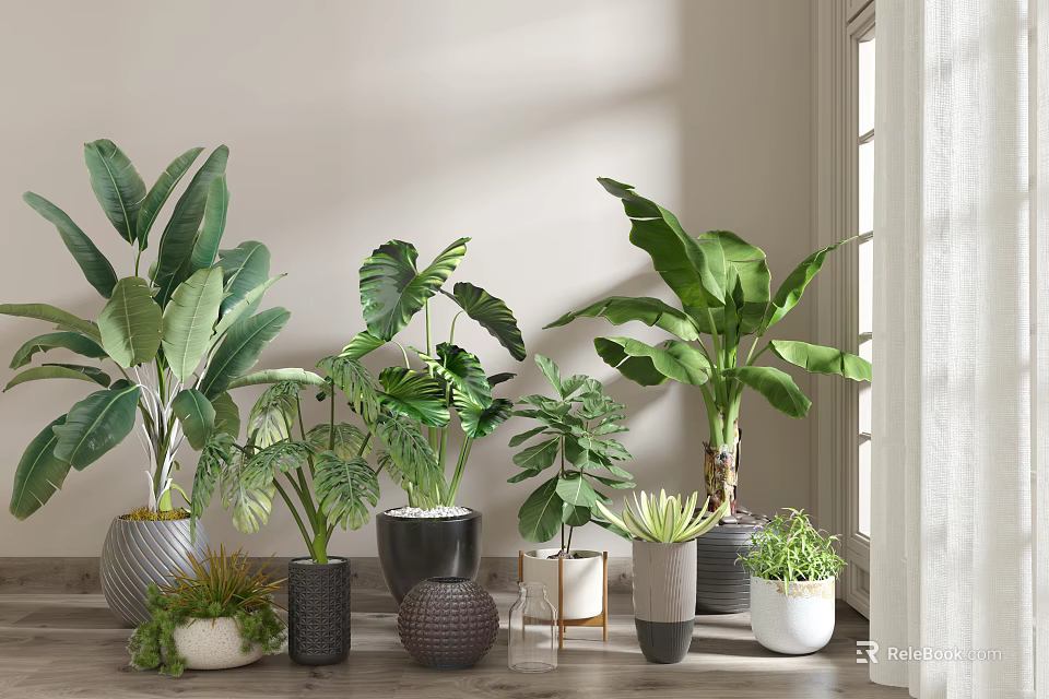 Indoor Potted Plants With Various Leafy Greens In Decorative Planters By Window 3d model 