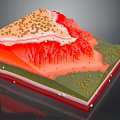 3D Layered Garden Landscape Model With Colorful Terrain And Vegetation Zones