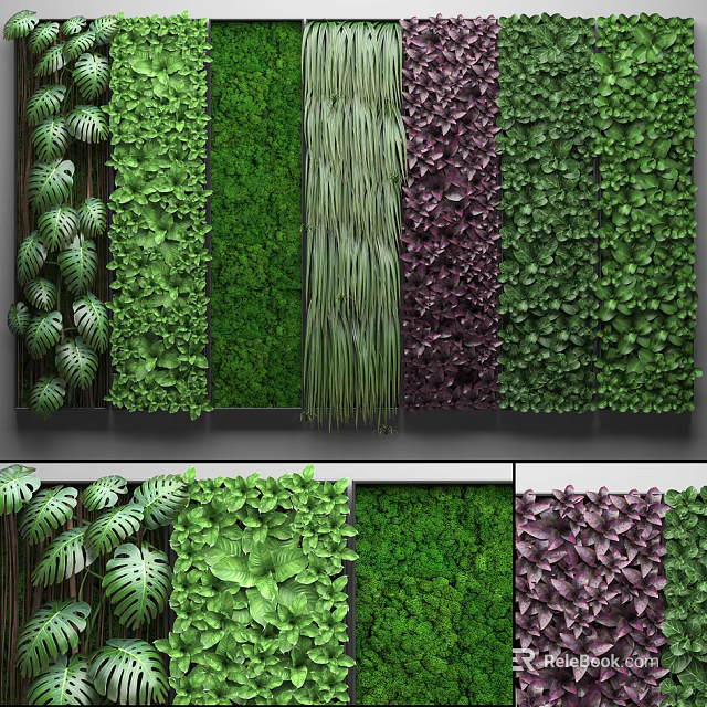 Living Green Plant Wall With Various Foliage And Lush Indoor Greenery Decor 3d model 