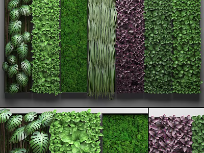 Living Green Plant Wall With Various Foliage And Lush Indoor Greenery Decor 3d model