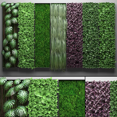 Living Green Plant Wall With Various Foliage And Lush Indoor Greenery Decor 3d model