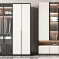 Modern wardrobe combination 3d model