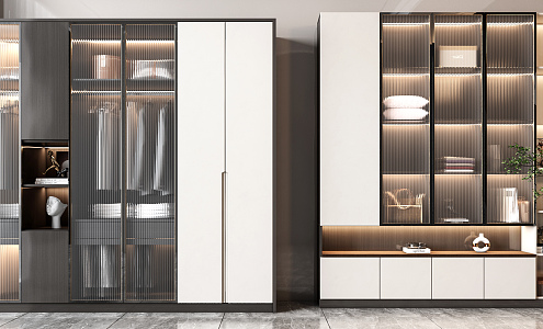 Modern wardrobe combination 3d model