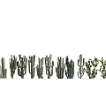 Modern Cactus 3d model