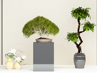 New Chinese Potted Plant 3d model