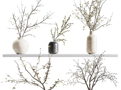 Modern Decorative Ornament Set with Ceramic Vases and Dried Branches on Floating Shelf 3d model