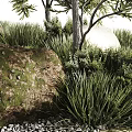 Modern Zen Style Garden Landscape With Delicate Trees Natural Stones And Lush Green Grass