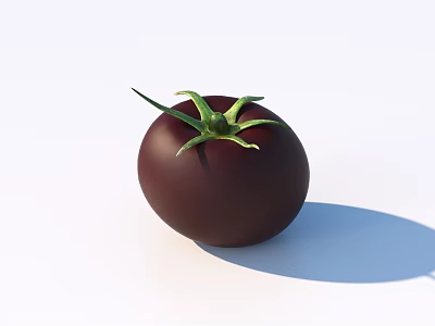 Ripe Dark Purple Tomato with Green Leaves and Shadow on White Background 3d model