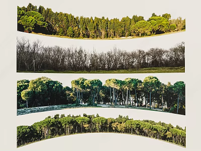 Garden Landscaping Featuring Curved Rows Of Green And Bare Trees In Different Seasons 3d model